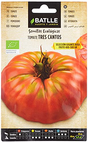 Tomate Rosa de la Reina: ¡El secreto de la gastronomía!